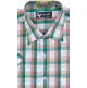 Casual Shirts (250)